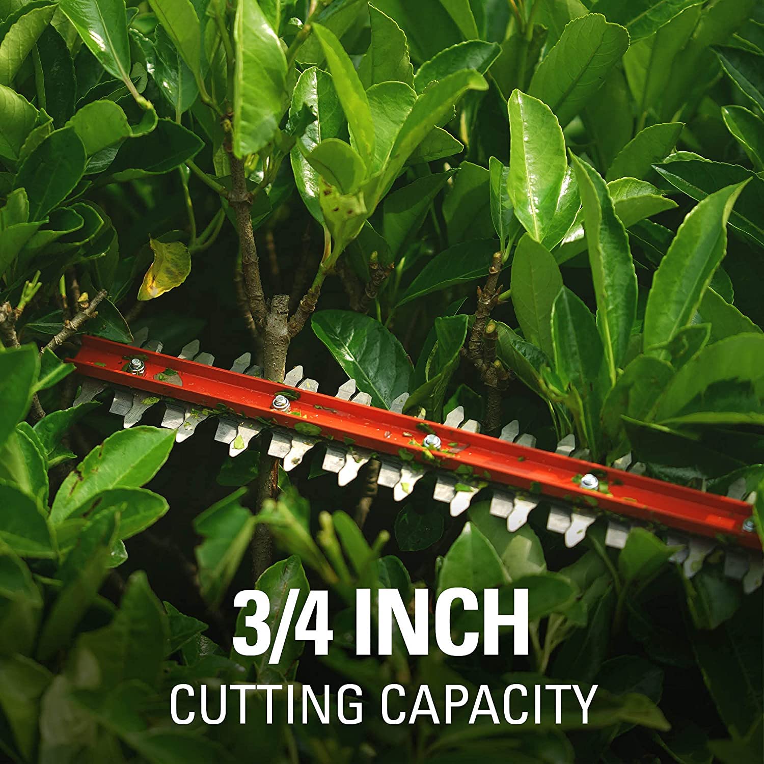 Greenworks 24V 22-Inch Cordless Hedge Trimmer with Rotating Handle - Includes (1) 1.5Ah USB Battery & Charger + 24V Axial Blower (90 MPH/320 CFM) - Perfect for Landscaping, Yard Maintenance, and Professional Gardening
