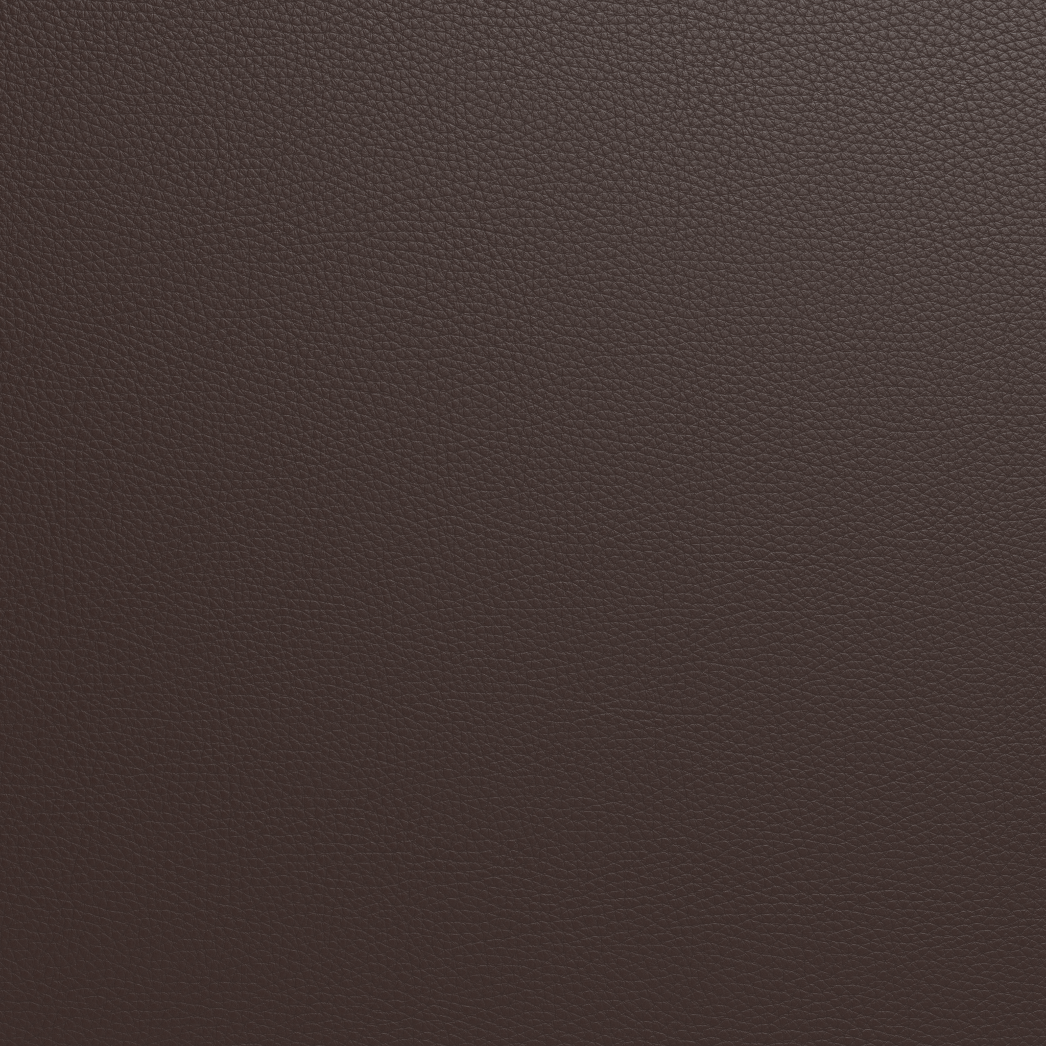 Mas Mesa Deep Leather Raf Chair - Premium Genuine Leather Dining Chair for Home & Office - Perfect for Modern Living Rooms, Dining Areas & Workspaces