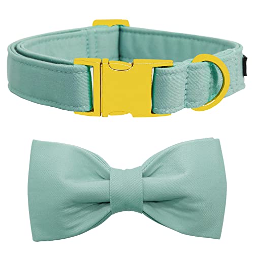 suit-Mint green