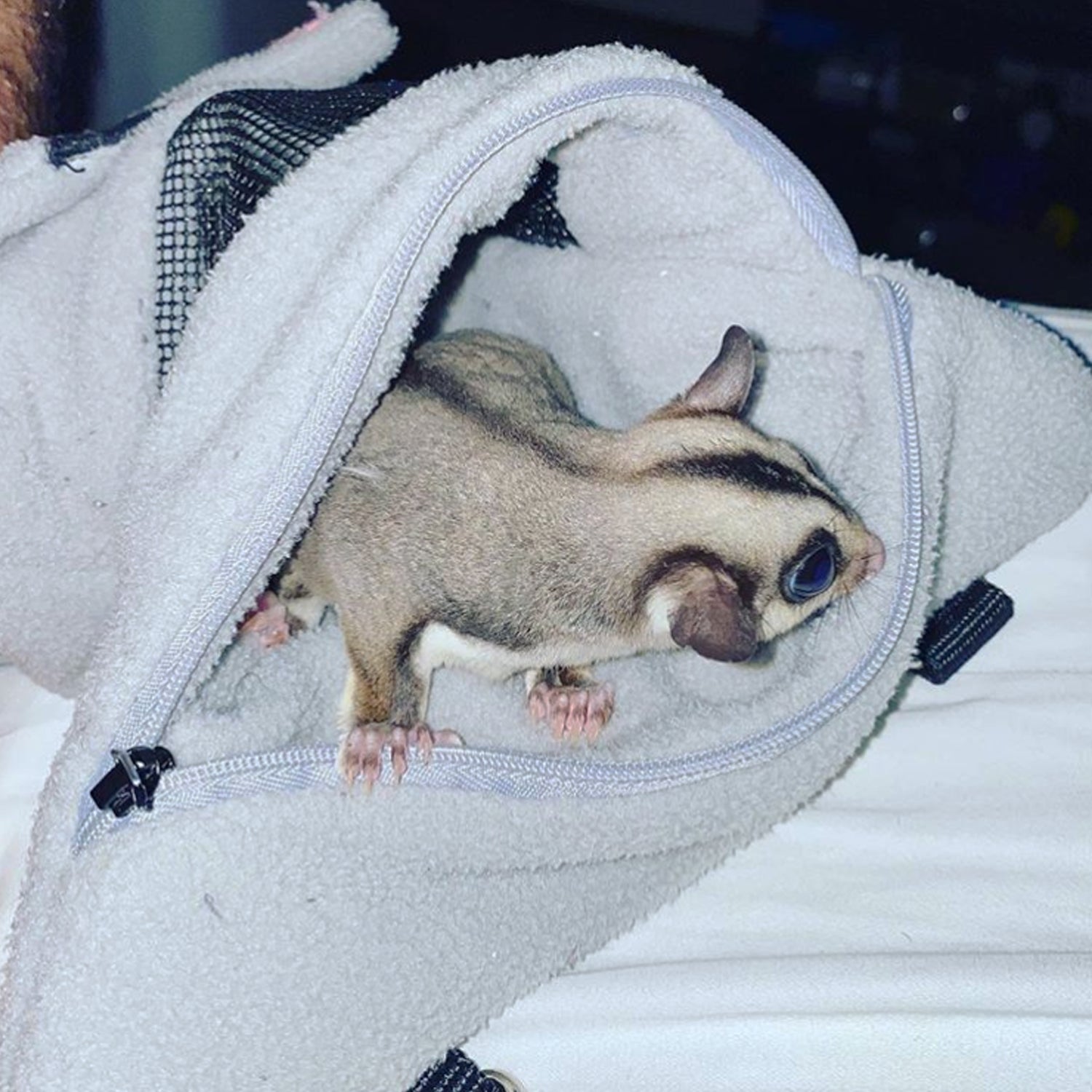 Soft Baby Carrier Glider Bonding Pouch - Hands-Free Kangaroo Style Sling for Newborns & Infants - Perfect for Skin-to-Skin Contact, Nursing & Bonding Time at Home or Outdoors
