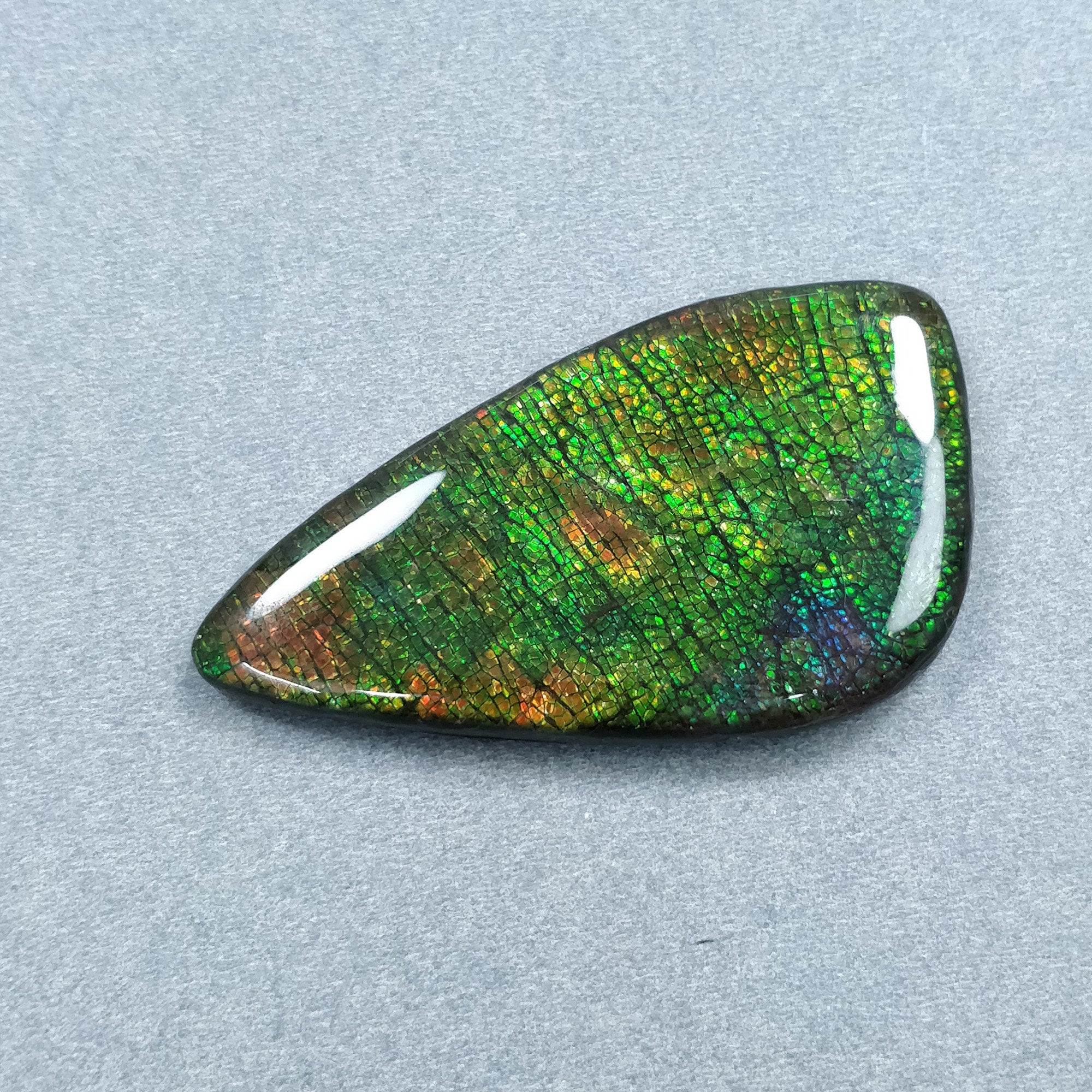 Natural Ammolite Gemstone Cabochon - 105.45cts Bi-Color Fossilized Shell Cabochon 59x32mm (Video Included) | Jewelry Making, Collectibles & Healing Crystals