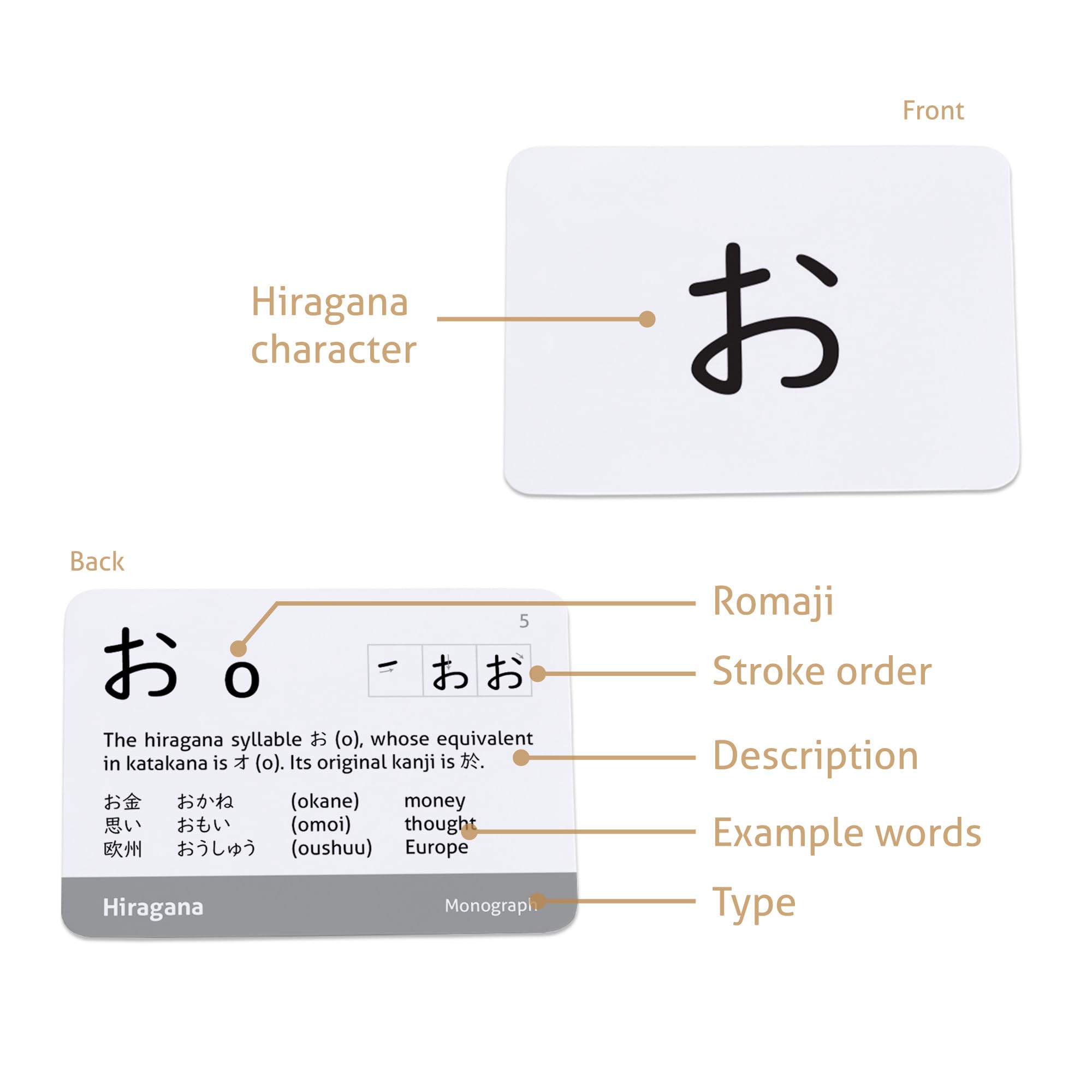 CARDDIA Japanese Hiragana & Katakana Flash Cards with Vocabulary - Beginner Learning Set for Language Study, Travel & Anime Enthusiasts