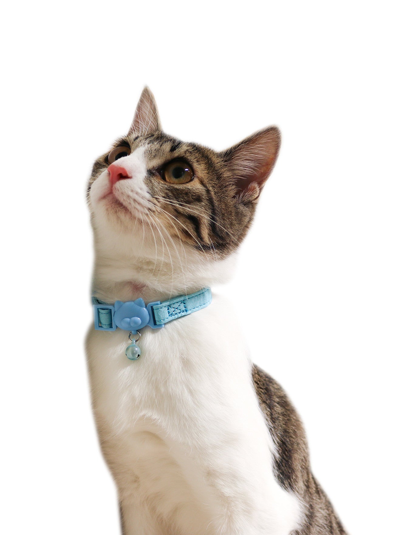 Stylish Light Blue Cat Collar for Small & Medium Cats - Adjustable & Reflective Pet Collar for Safety - Perfect for Indoor & Outdoor Adventures