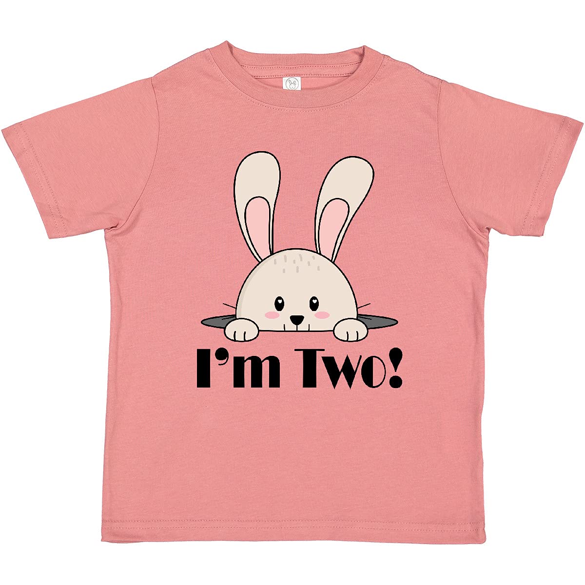 2nd Birthday T-Shirt for 2 Year Old Boys - Cute Toddler Graphic Tee for Birthday Parties & Celebrations | Inktastic Kids Apparel