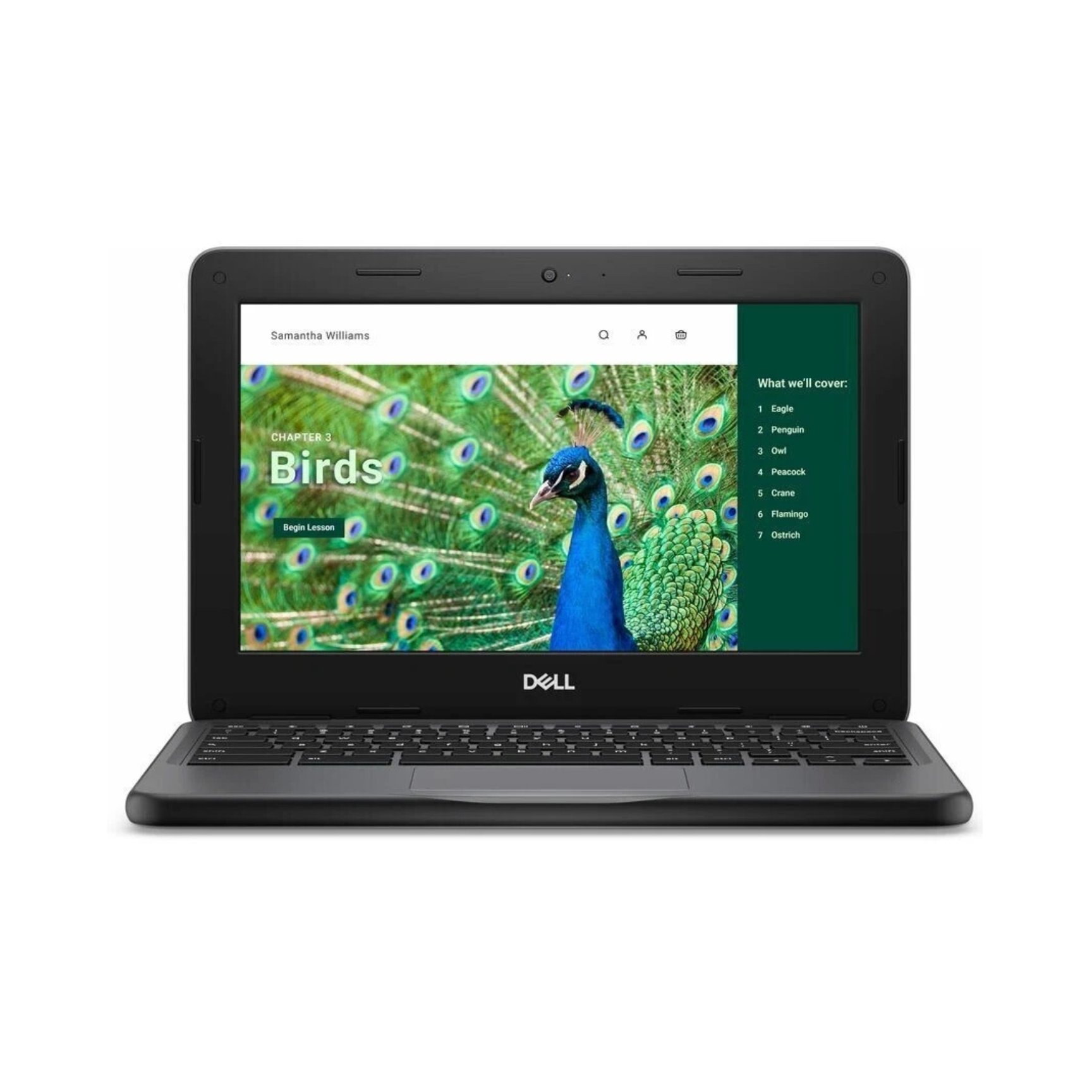 Dell Inspiron 3120 CS 11.6