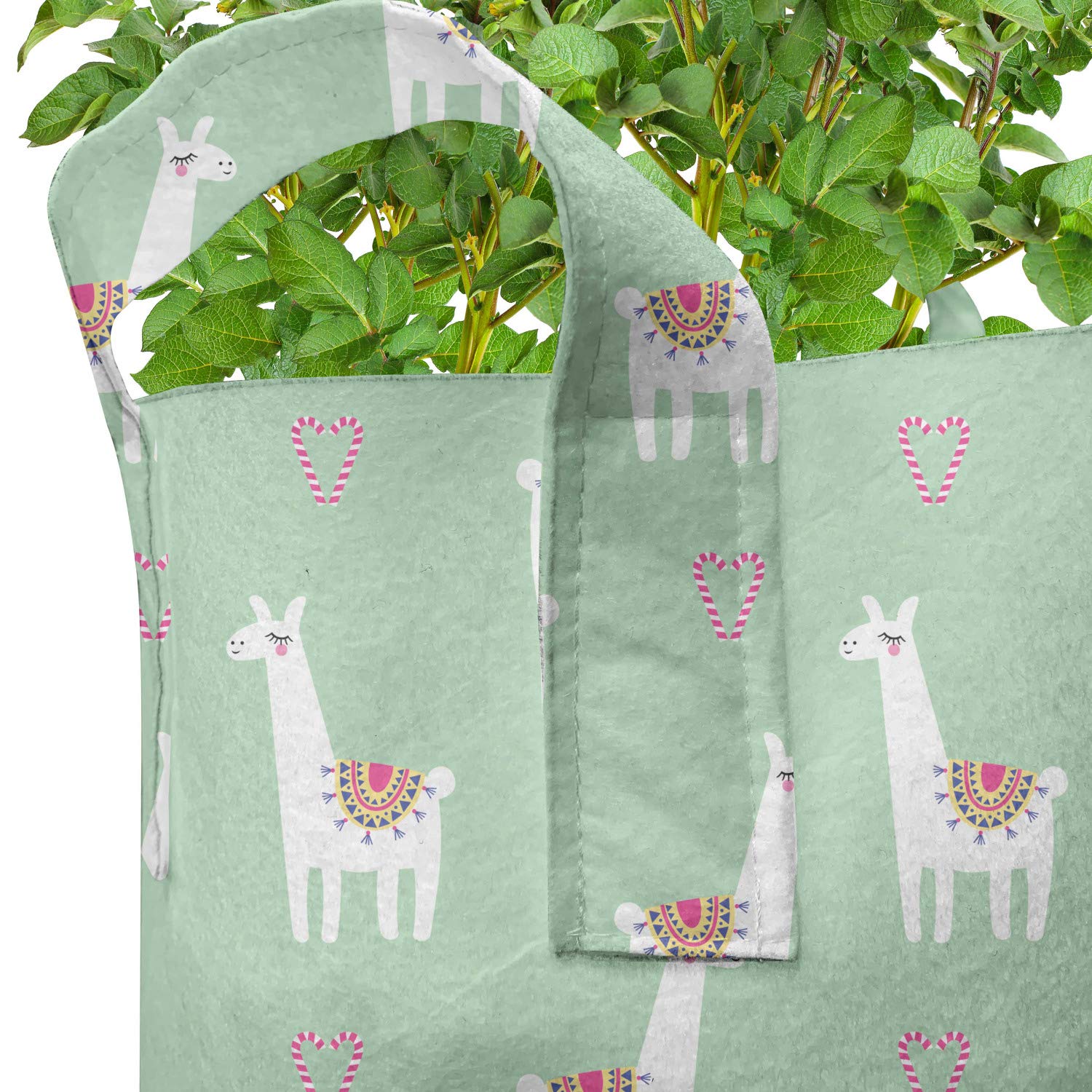 Ambesonne 5-Pack Llama Grow Bags - 5 Gallon Heavy Duty Fabric Plant Pots with Handles, Mint Green Multicolor Candy Cane Hearts Design - Perfect for Indoor/Outdoor Gardening, Herbs, Vegetables & Flowers