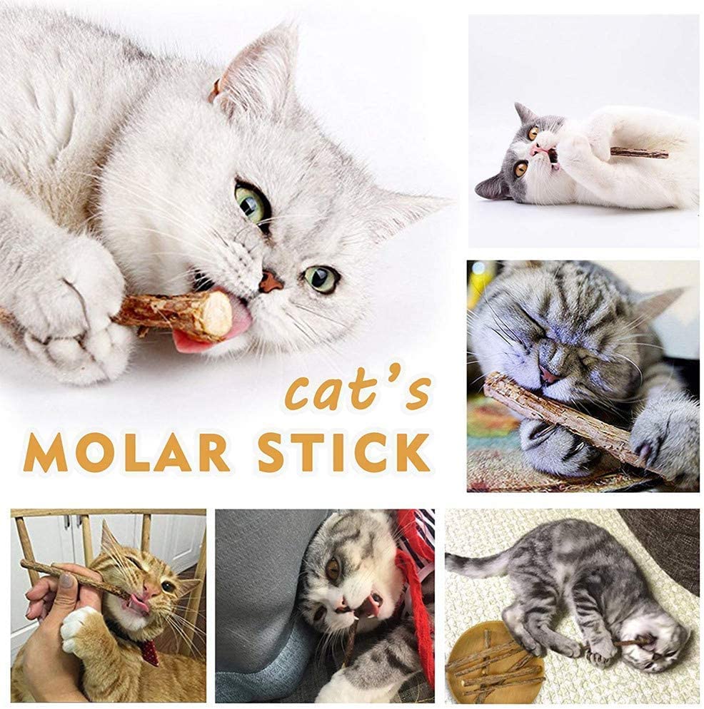 30Pcs Natural Matatabi Silvervine Cat Chew Sticks - Catnip Toys for Dental Care & Teeth Grinding - Kitten & Adult Cat Chew Toys for Stress Relief & Playtime - Perfect for Indoor Cats & Boredom Relief