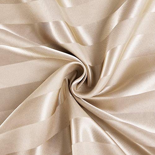 06 - Striped Champagne