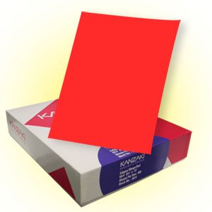 Vibrant Colored Paper - Mango & Red for Scrapbooking, Card Making, and DIY Craft Projects