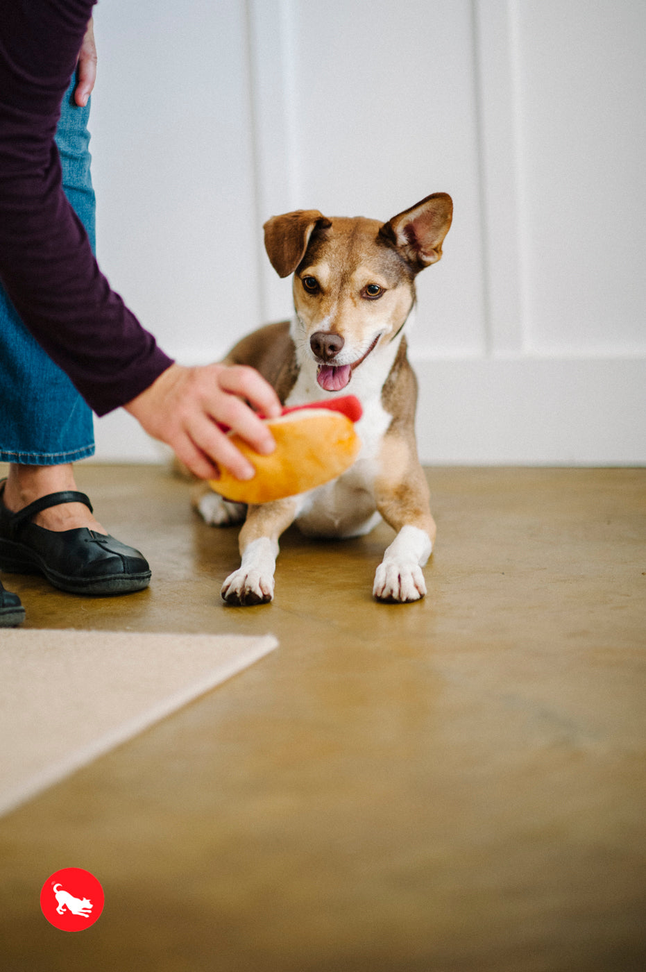 American Classic® Hot Dog Plush Dog Toy by Pet P.L.A.Y. - Durable Chew Toy for Small & Large Dogs - Perfect for Fetch, Tug-of-War & Cuddling