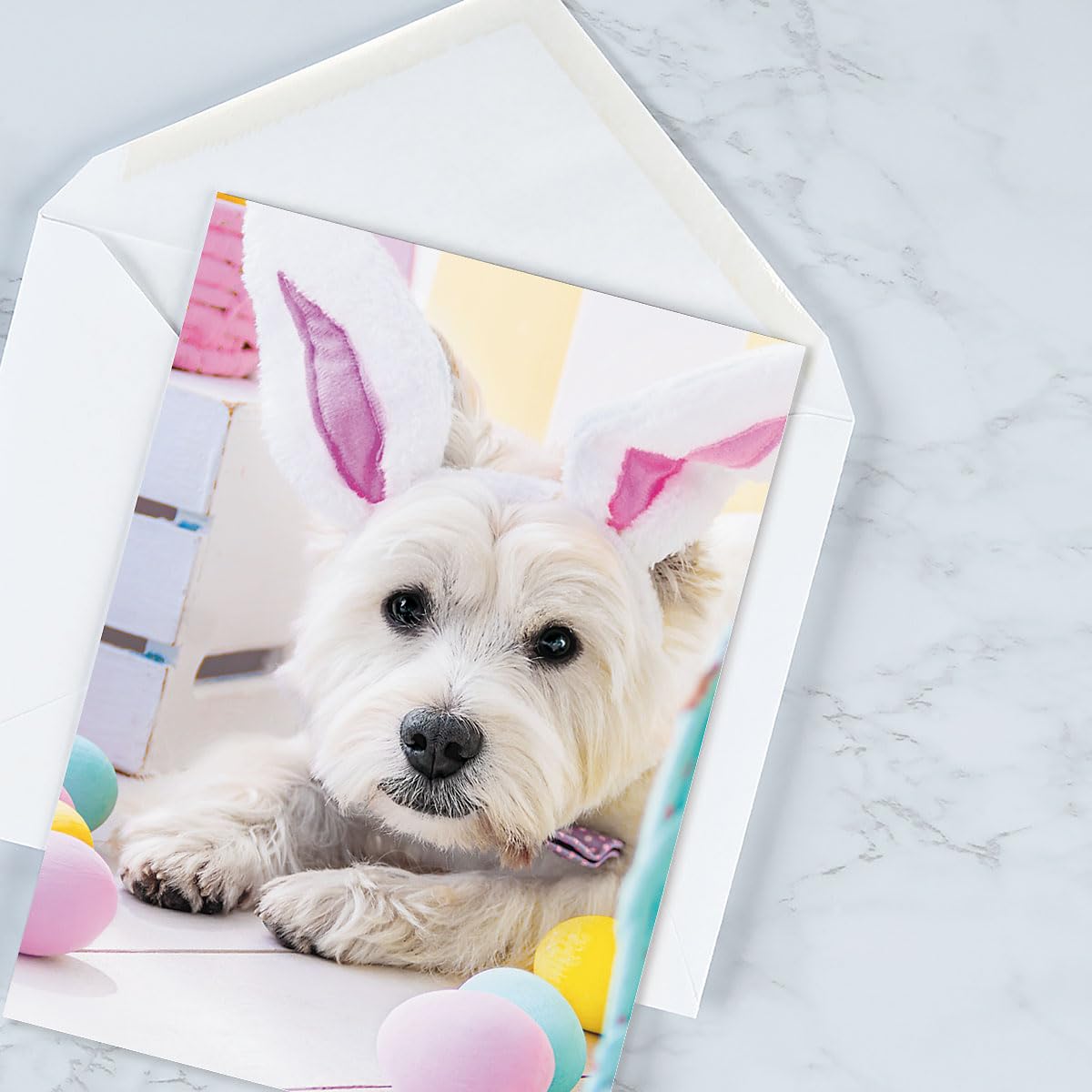 Premium Dog & Cat Easter Greeting Card Set - 8 Large 5x7 Inch Cards with 4 Cute Designs & White Envelopes | Perfect for Kids, Adults, Easter Gifts & Spring Celebrations | Ideal for Family, Friends, Teachers & Coworkers