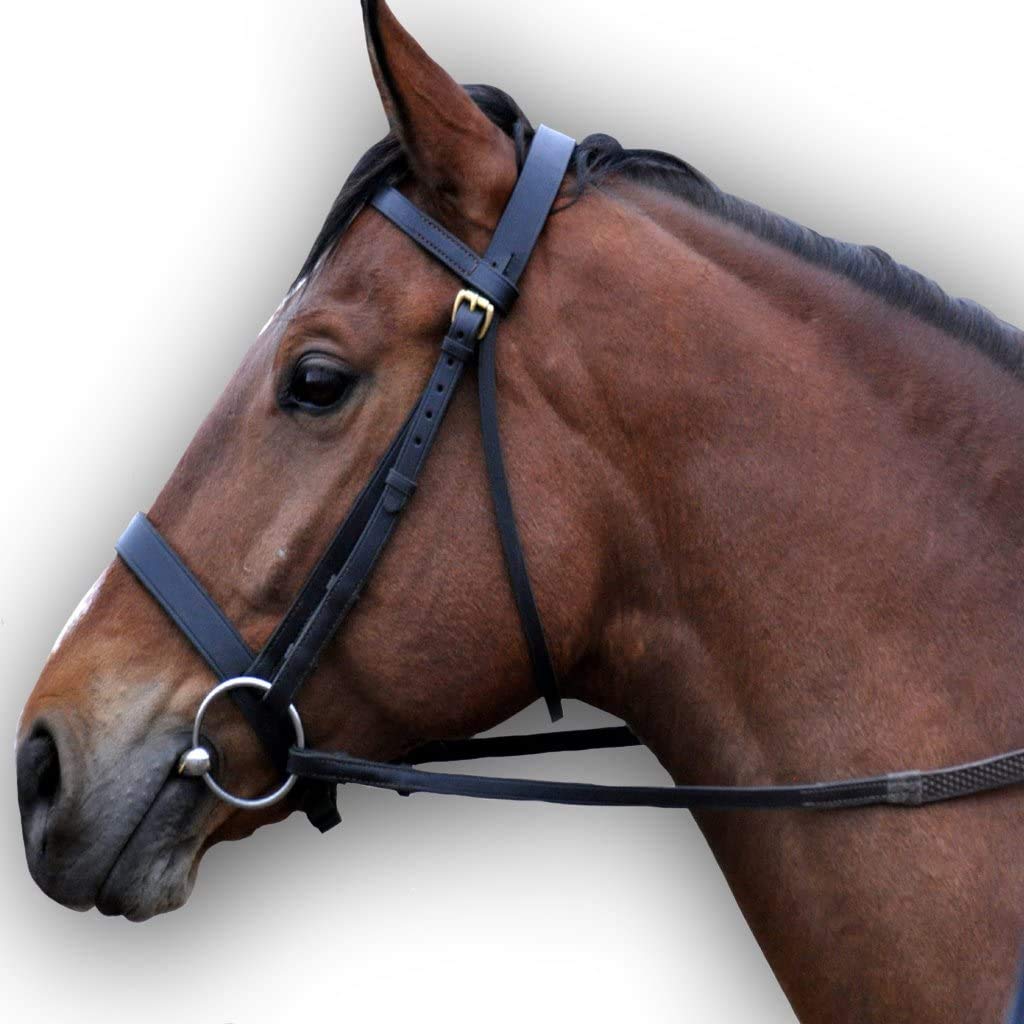 Premium Plain Hunter Leather Bridle for Horses - Durable & Comfortable Equestrian Equipment in Black & Brown | Full Size Fit for Training, Show Jumping & Dressage