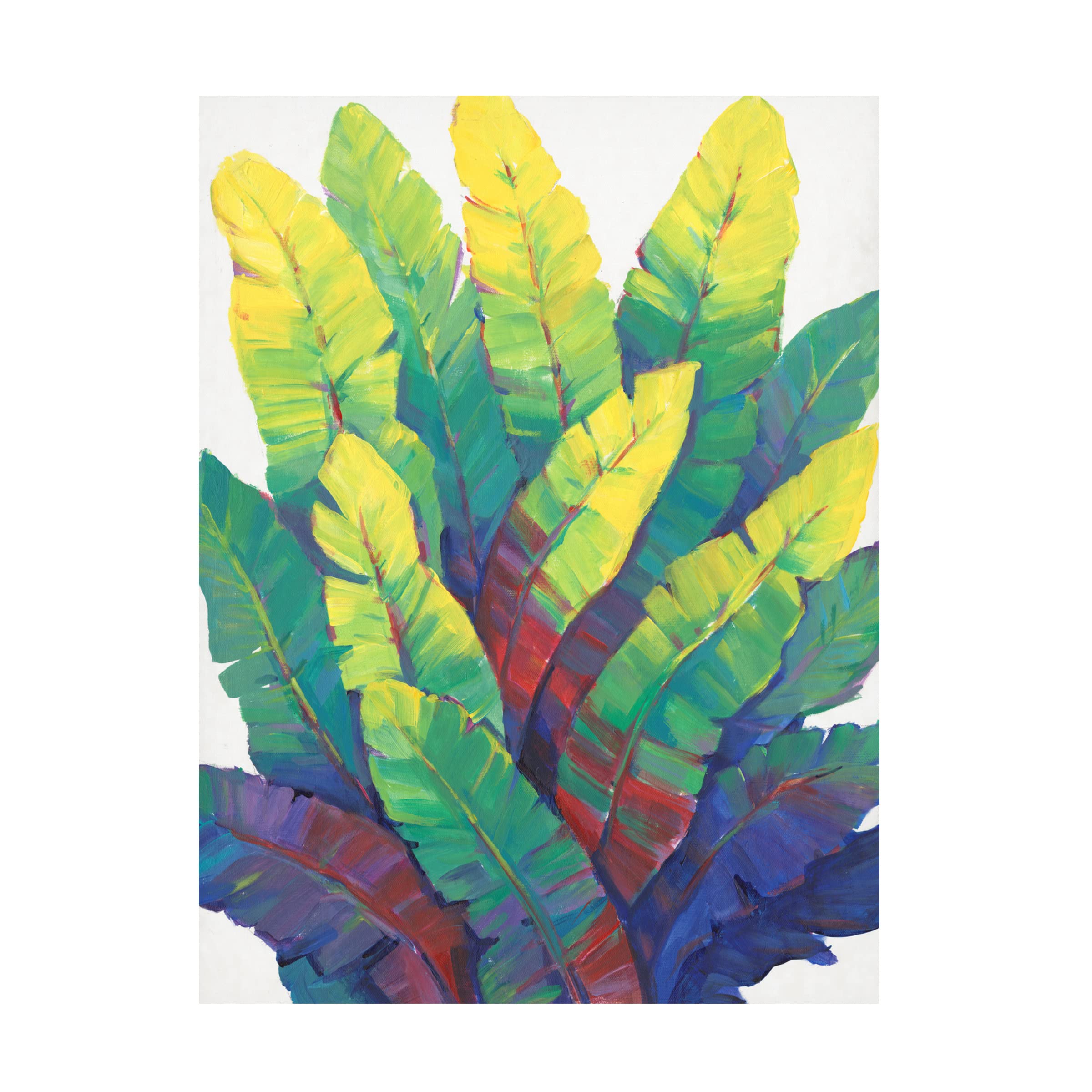 Trademark Fine Art 'Sunlit Banana Leaves I' Canvas Wall Art by Tim O'Toole - Tropical Home Decor for Living Room, Bedroom & Office