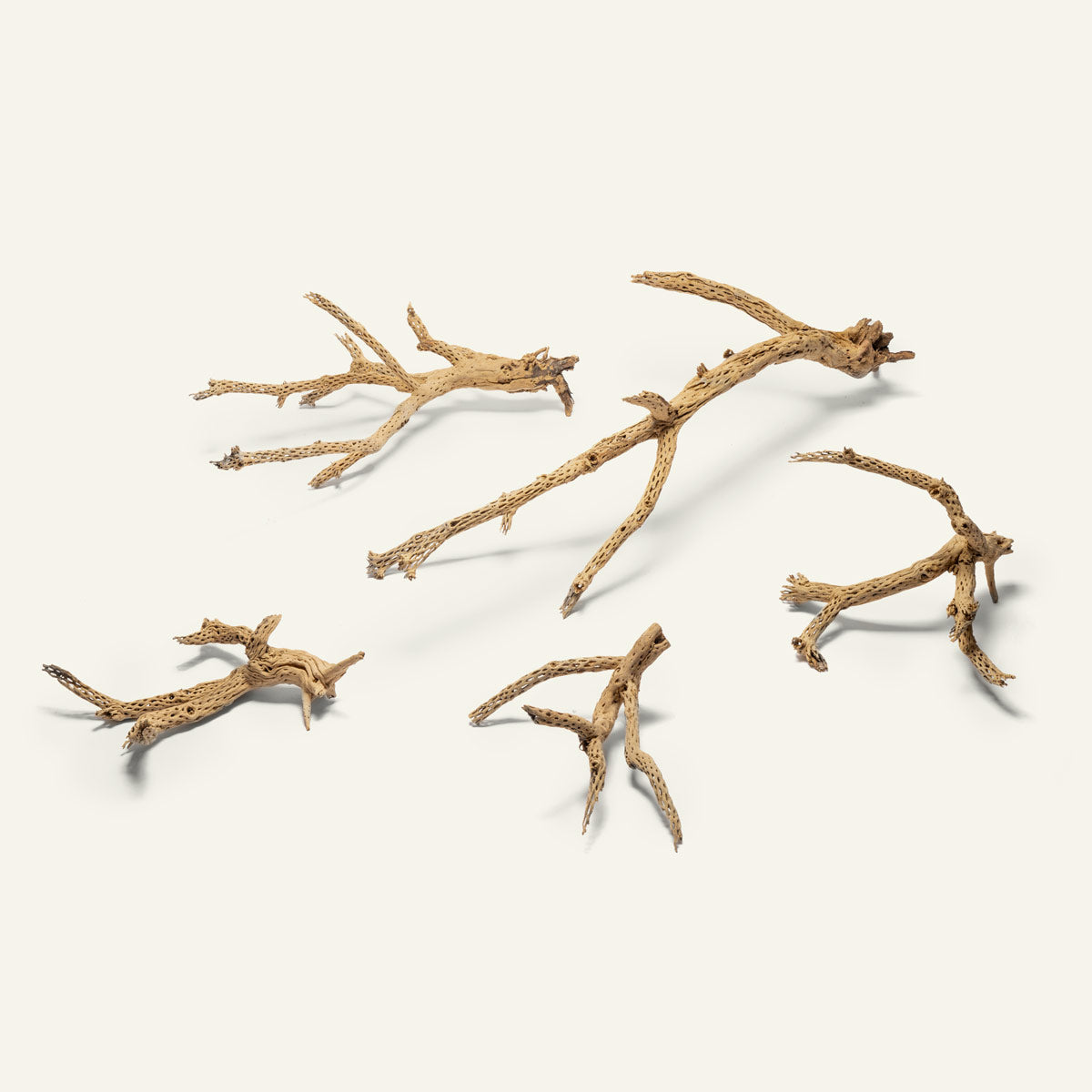 Natural Cholla Driftwood Tree for Aquarium Decor - Unique Cactus Wood for Reptile Habitats, Fish Tanks & Terrarium Landscaping - Perfect for DIY Home Decor and Pet Enclosures