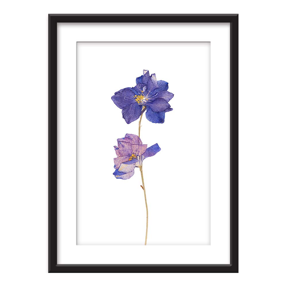 Wall26 - Framed Wall Art - Hand Drawn Purple Floral Botanical Print - Giclee Printed Canvas in Black Picture Frame with White Mat - 23x31 Inches - Perfect for Living Room, Bedroom & Office Decor