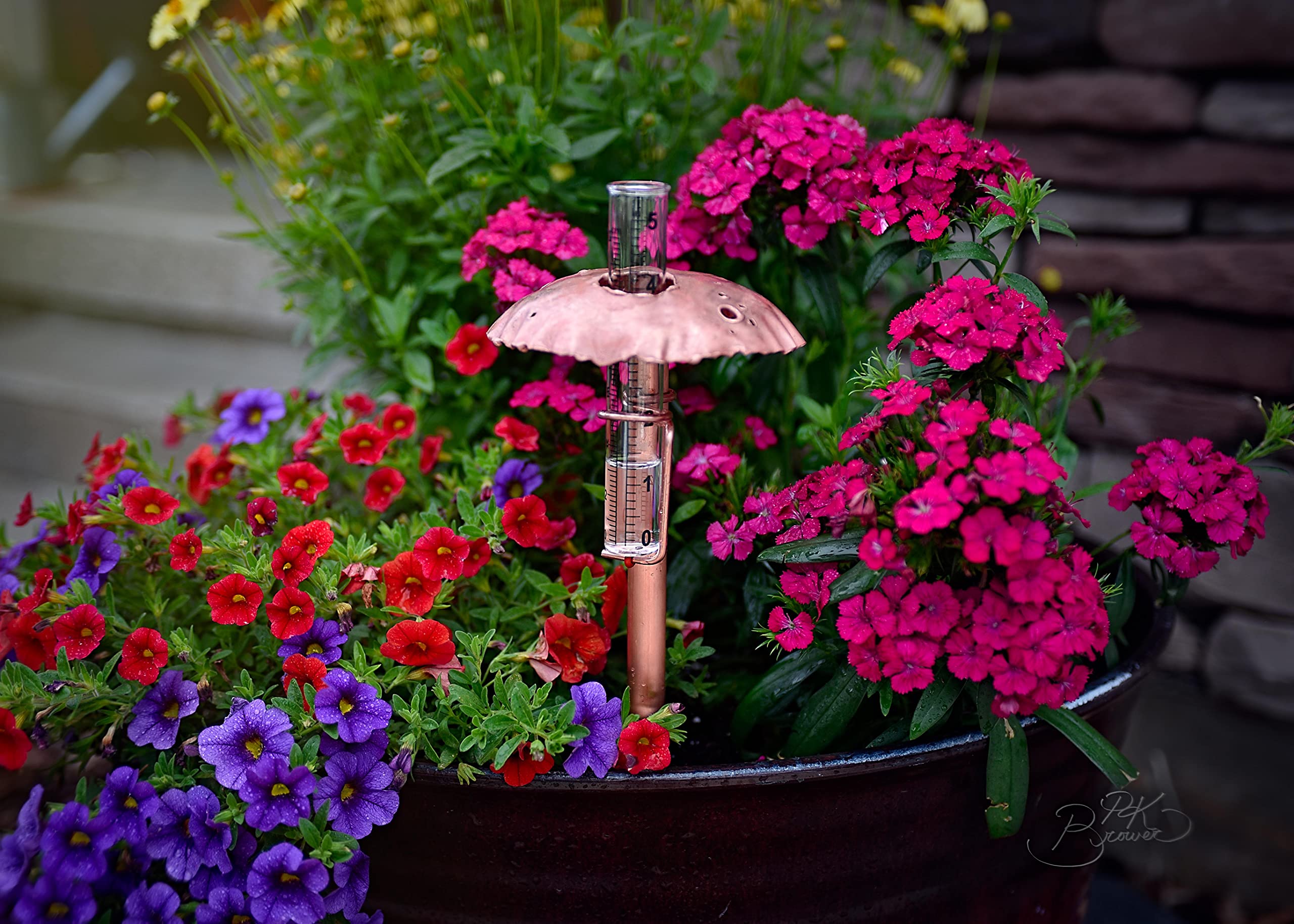 Accurate Copper Rain Gauge - Outdoor Weather Station Tool for Garden, Lawn & Farm Use - Measures Rainfall in Inches & Millimeters