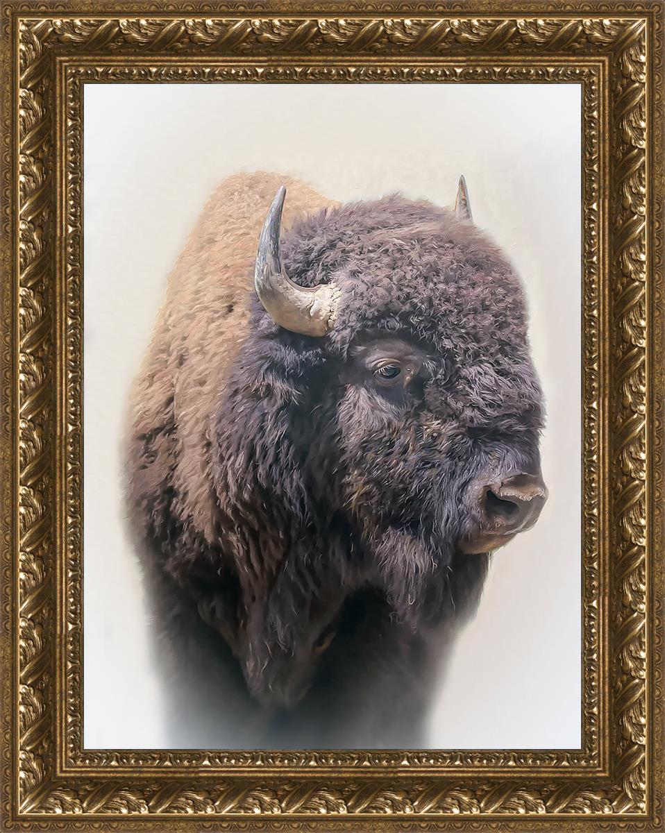 Bison By Matthew Grant | Premium Bison Meat & Jerky | High-Protein Snacks for Camping, Hiking & Outdoor Adventures