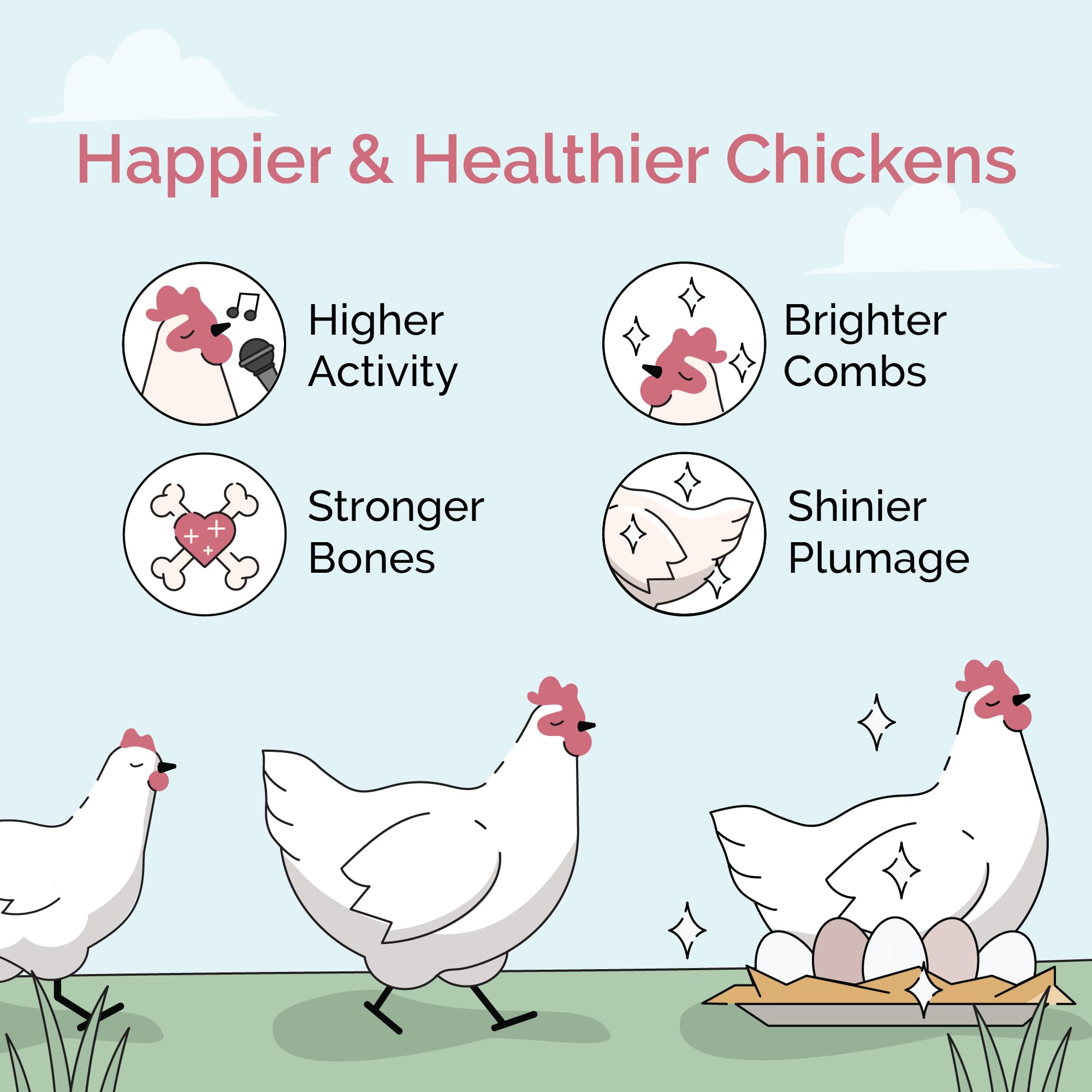 Organic Non-GMO Chicken Feed - USA Grown 18% Protein Grower Pellets | Corn-Free, Soy-Free, Non-Medicated Poultry Food | Perfect for Backyard Chickens & Small Farms (2 lb Sample Pack)