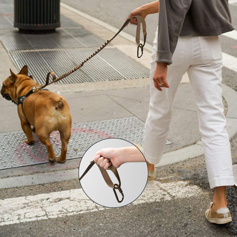 Medium Tactical Dog Collar - Adjustable Small Tactical Dog Harness with Bungee Leash & Handle for Outdoor Hiking, Training & Daily Walks
