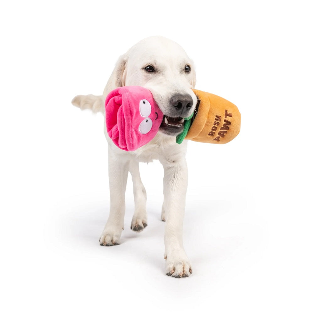 Rosie Pawt Soft Plush Dog Toy for Small & Large Dogs - Cute & Durable Chew Toy for Puppies, Indoor & Outdoor Play, Cuddling & Training
