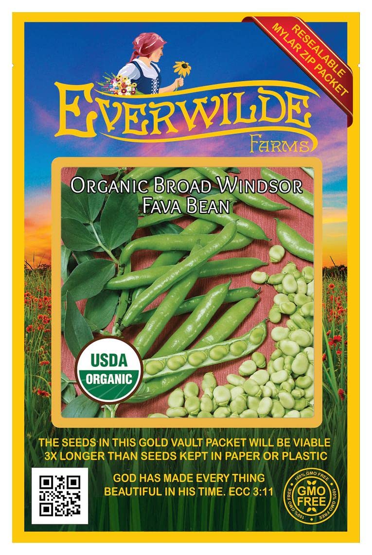 20 Organic Fava Broad Windsor Fava Bean Seeds - Non-GMO, Heirloom Variety - Perfect for Home Gardening, Cooking & Healthy Recipes - Everwilde Farms Gold Vault Packet