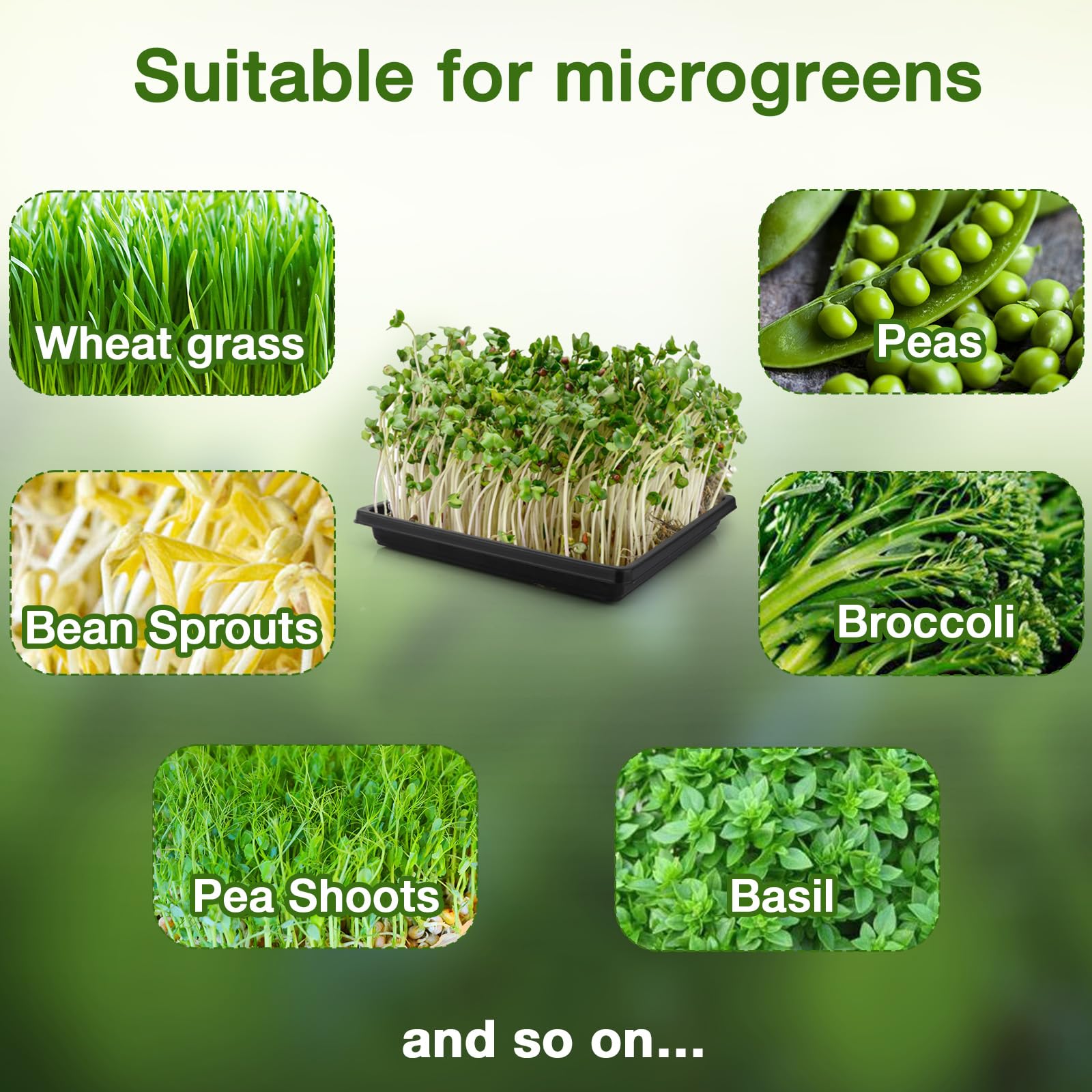 **12Pcs Hemp Mats & 6Pcs 10-Inch Square Trays - Microgreens Growing Kit for Indoor Sprouting, Herb Seeds Starter with Jute Pads (2 Tray Styles) - Perfect for Home Gardening, Healthy Salads & Organic Cooking**