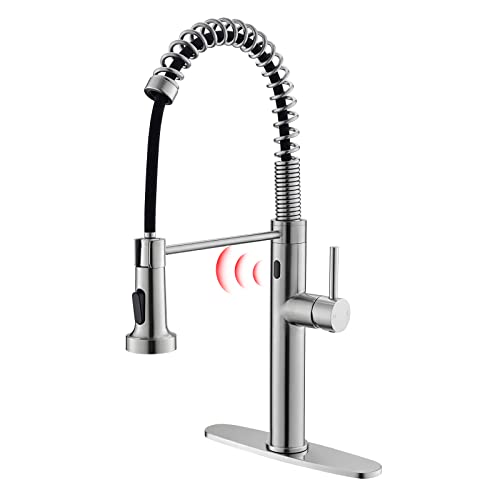 Brushed Nickel-T