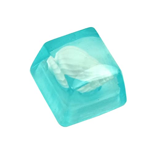 Conch