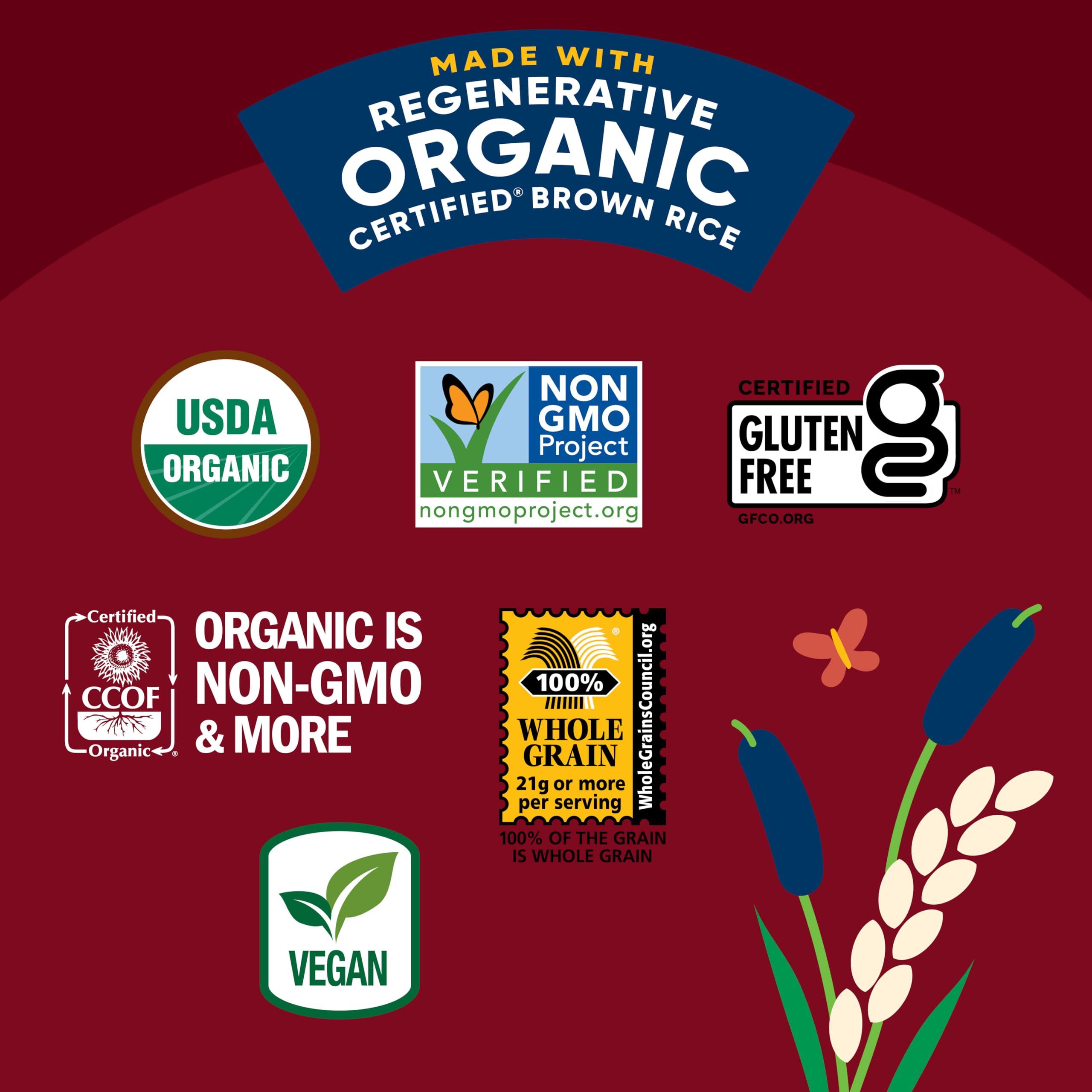 Organic Rice Cake Minis, Apple Pie, 6-Pack – Healthy Vegan Snacks for On-the-Go