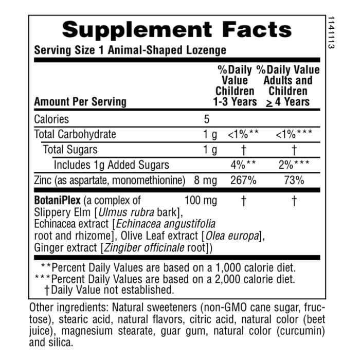 Nature's Plus Animal Parade Kid Zinc Tangerine Flavor 90 Lozenges - Immune Support & Vitamin Supplement for Children - Perfect for Daily Health & School Lunchboxes