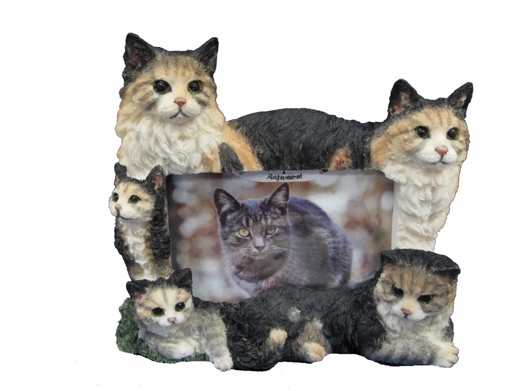 E&S Pets 35297-10 Large Cat Window Perch & Bed - Sturdy Cat Tree Frame for Indoor Cats - Perfect for Lounging, Sunbathing & Watching Birds