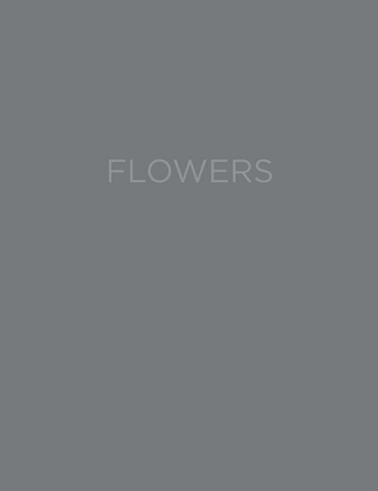 Virginia Dwan: Floral Art Prints - Vintage Botanical Wall Decor for Home & Office - Perfect for Living Room, Bedroom & Gallery Wall Displays