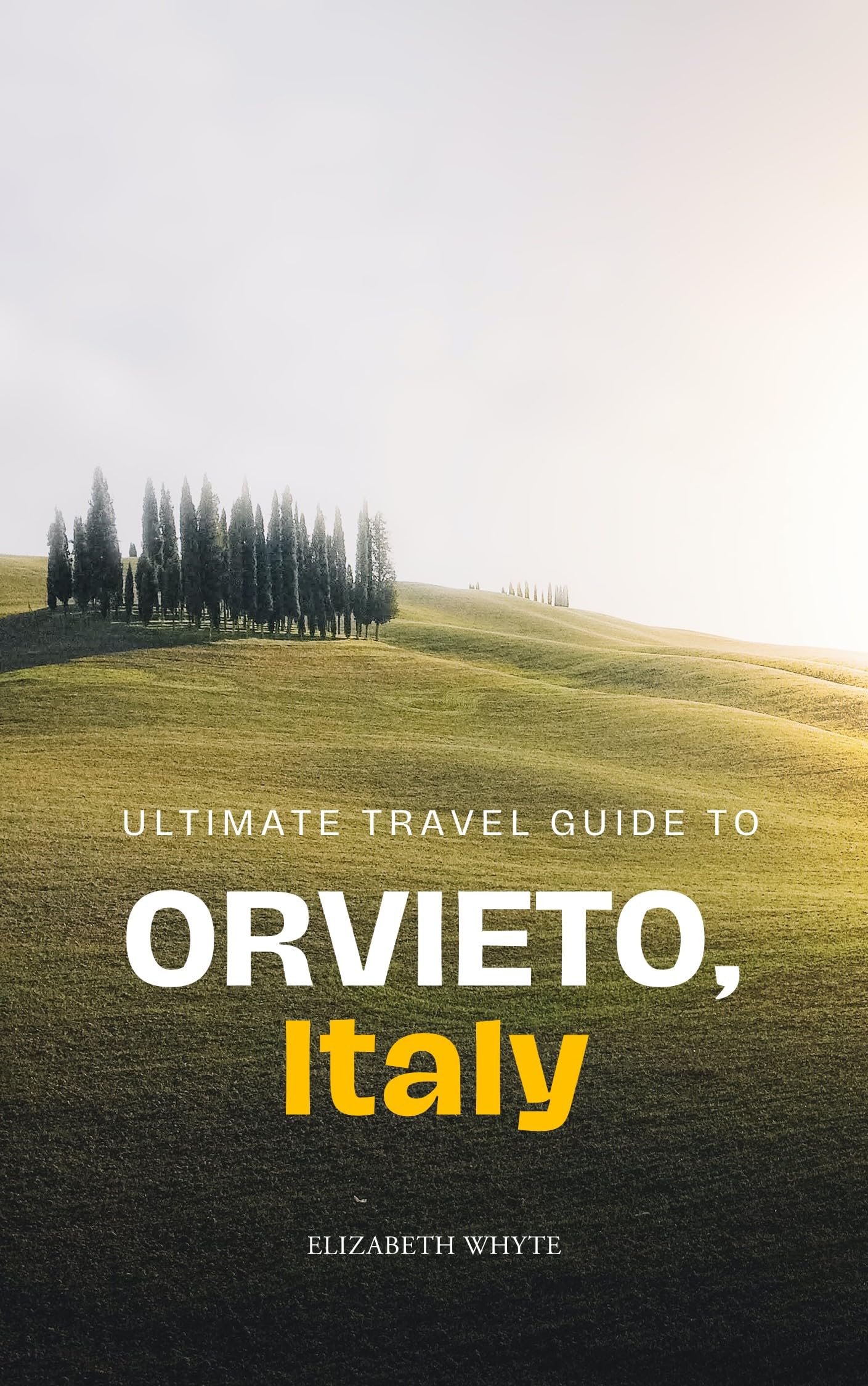 Ultimate Travel Guide to Orvieto Italy - Discover Hidden Gems & Must-See Attractions | Perfect for Vacation Planning & Cultural Exploration (Travel Guide Book)