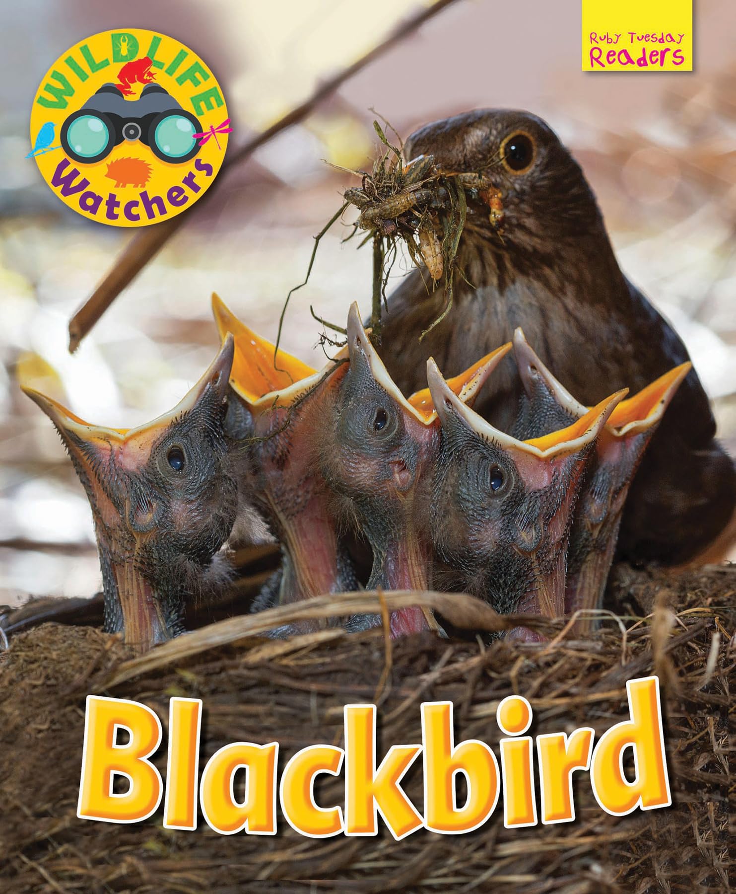 Wildlife Watchers: Blackbird 2017 (Ruby Tuesday Readers) - Educational Bird Watching Book for Kids & Nature Enthusiasts | Perfect for Classroom Learning & Outdoor Exploration