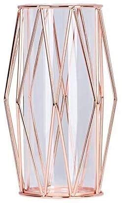 Modern Wrought Iron Glass Test Tube Vase - Hydroponic Flower Holder, Clear Glass Bottle Planter for Home Decor | Perfect for Indoor Plants, Wedding Centerpieces & DIY Floral Arrangements