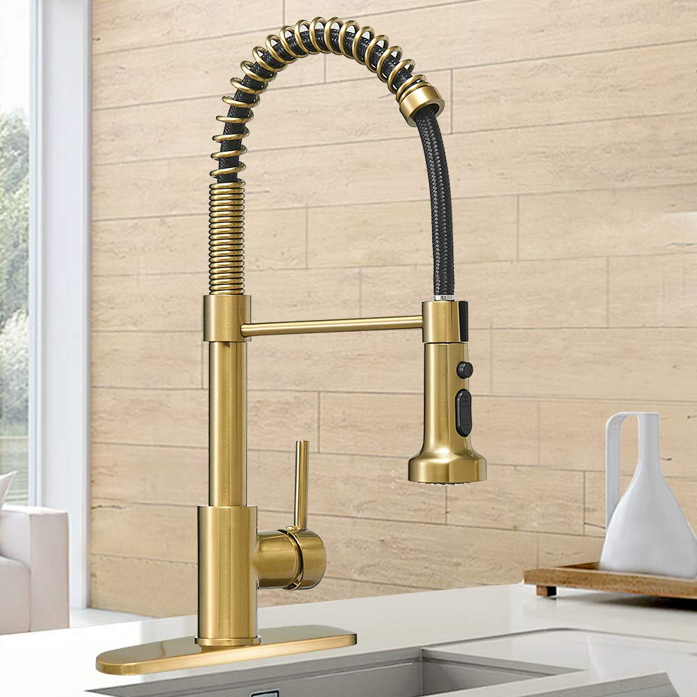 Hoimpro Brushed Gold Kitchen Faucet with Pull Down Sprayer - for Home & RV Use