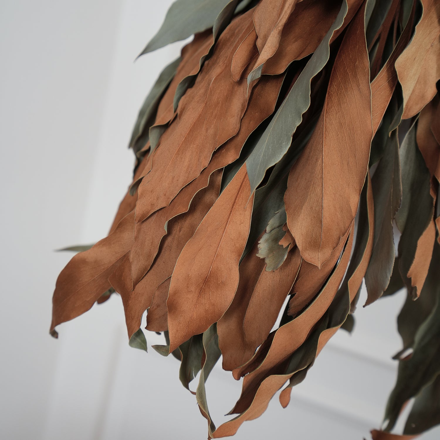 Handmade Dried Branch Leaf Pendant Light - Natural Boho Chic Hanging Lamp for Living Room, Bedroom, or Dining Room Decor