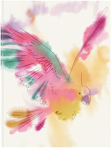 Paradise Parrot Glide