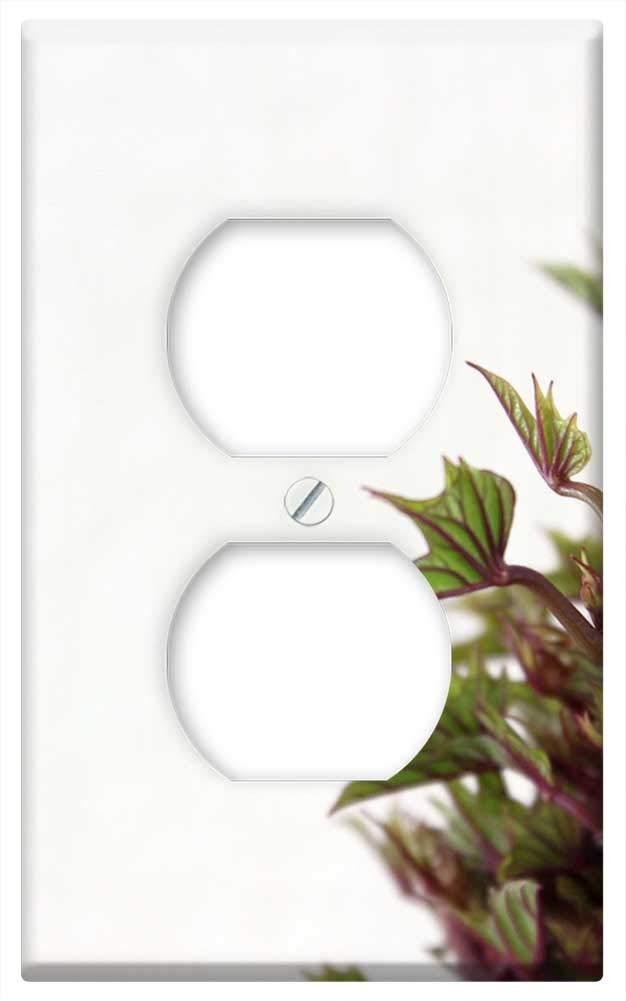 Organic Sweet Potato Sprout Switch Plate Outlet Cover - Decorative Wall Plate for Home, Kitchen, Nursery & Office Decor | Eco-Friendly Home Improvement Accessory