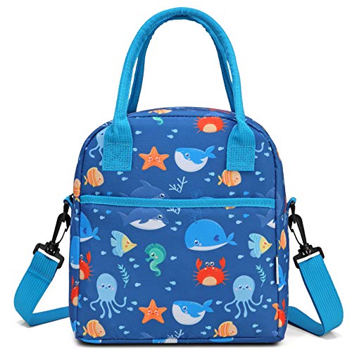 Ocean Animals