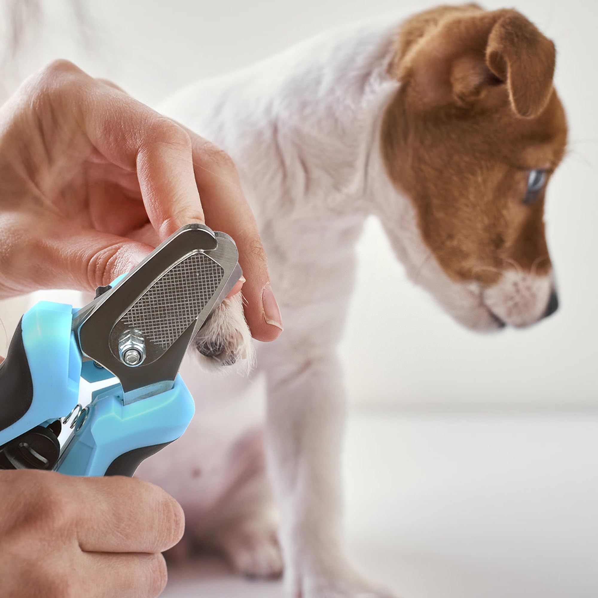 Fida LED Dog & Cat Nail Clippers with Safety Guard - Razor Sharp Pet Nail Trimmer with Nail File & Ergonomic Handle (Batteries Included) - Perfect for Home Grooming & Professional Pet Care