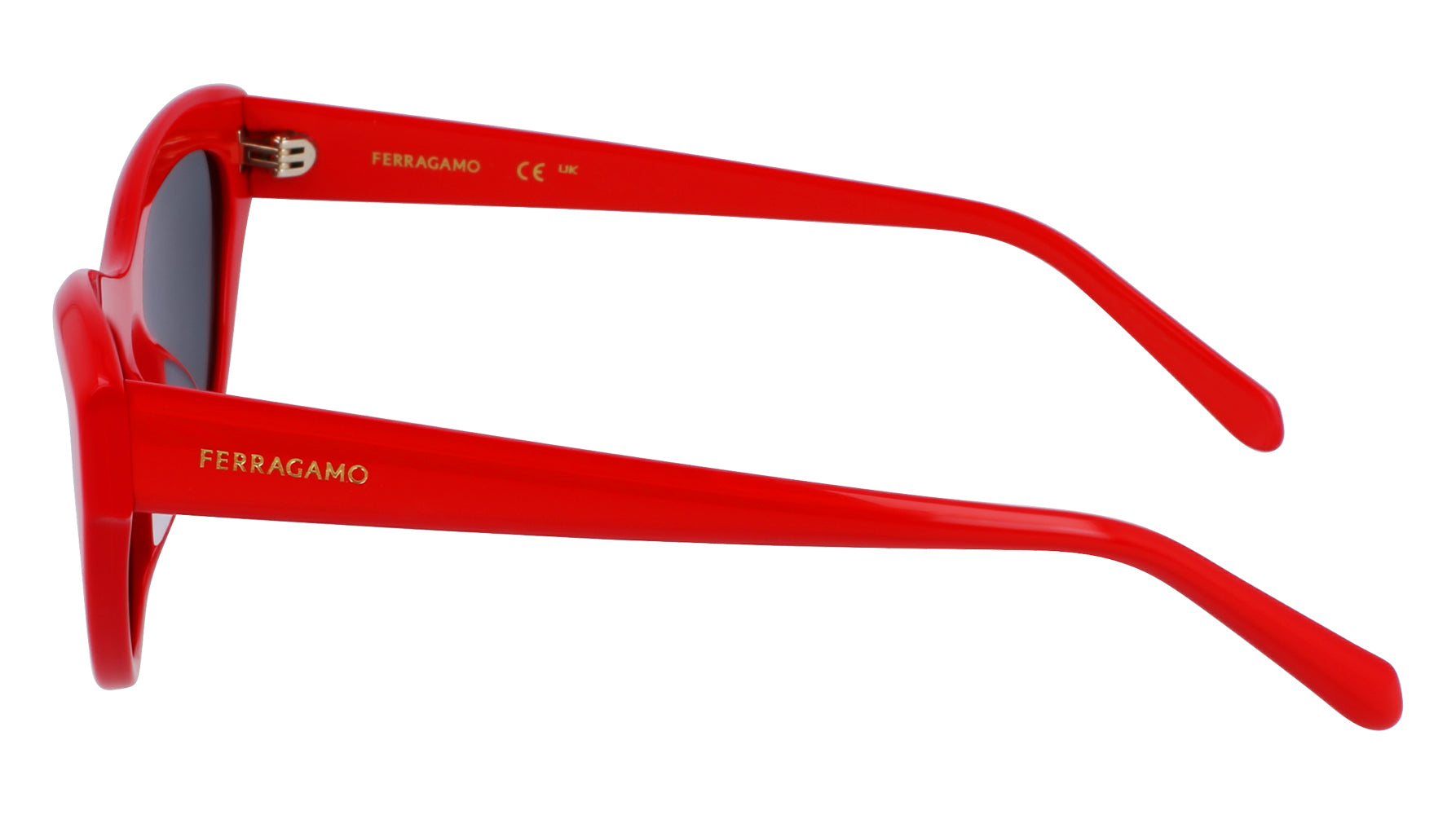 Ferragamo SF1103S Sunglasses for Women - Luxury Designer Shades with UV Protection - Perfect for Outdoor Activities, Travel, and Fashion Accessories