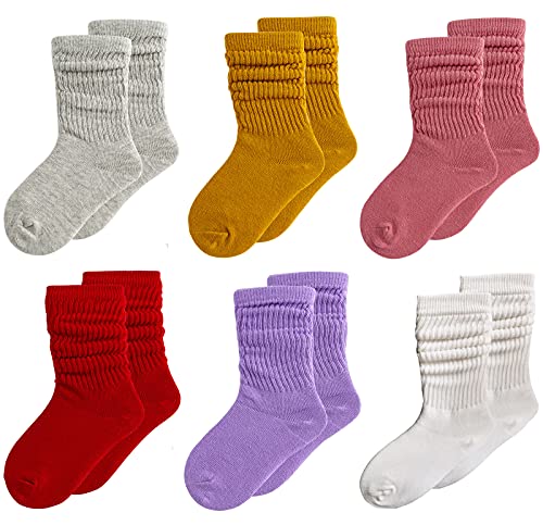 6 Color B