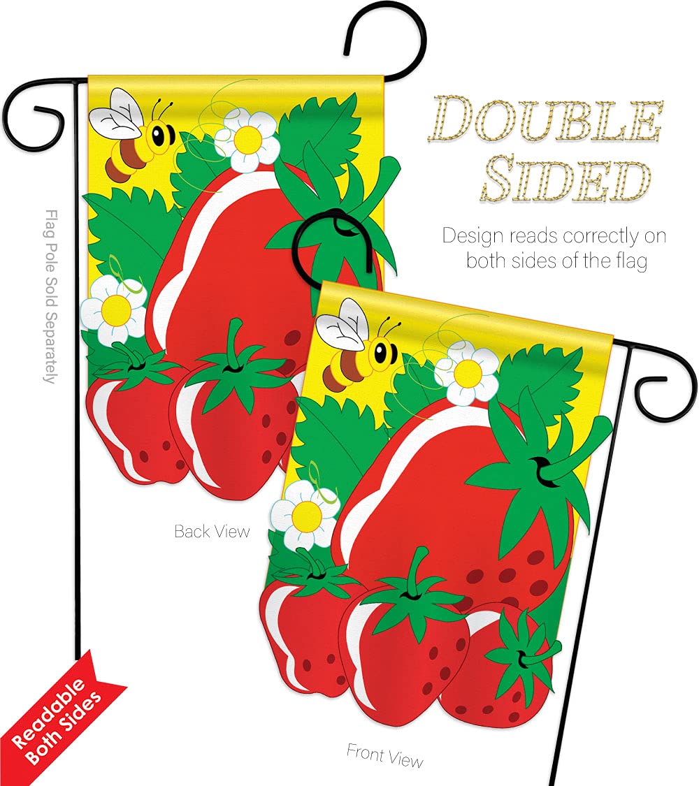 Strawberry Flag Home Decor - Embroidered Tapestry Wall Hanging for Patio, Porch, Lawn & Garden - American Stitched Banner with Applique Design - Perfect Outdoor Yard Sign & Unique Gift Idea