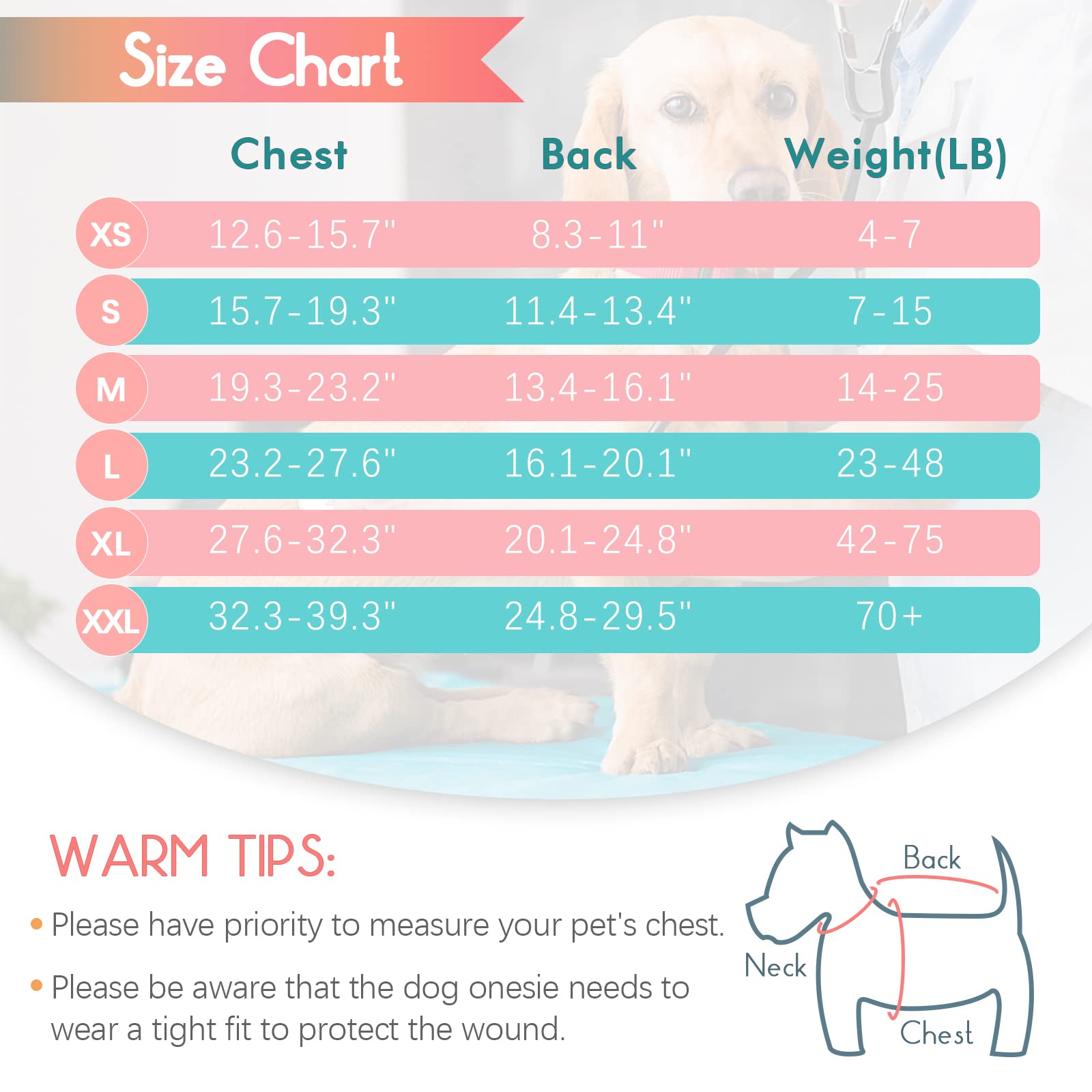 Post-Surgery Recovery Suit for Dogs - Soft Breathable Dog Bodysuit, E-Collar Alternative for Male & Female Pets - Anti-Licking Wound Protection Onesie (Mint Green Stripes, XL) - Ideal for Spay/Neuter Recovery & Wound Healing After Surgery