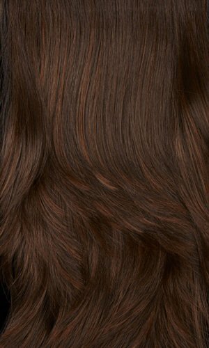 6H (Chestnut Brown) / (Auburn) Highlights