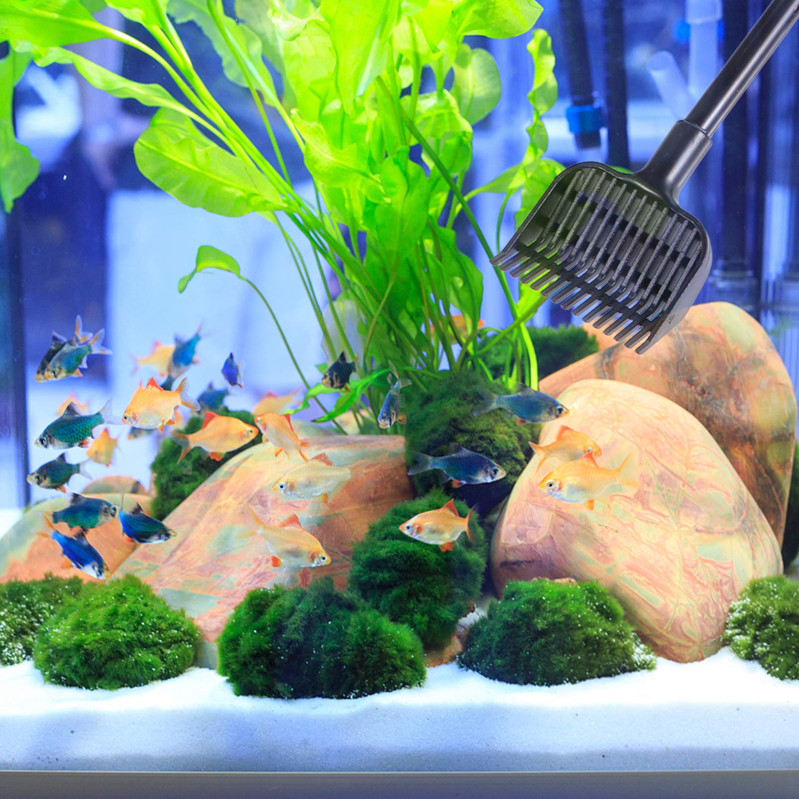 Balacoo Aquarium Cleaning Kit - 1 Set Glass Scraper, Fish Tank Brush, Cleaning Pad & Net - Professional Deep Cleaning Tools for Freshwater & Saltwater Tanks - Perfect for Algae Removal, Glass Scrubbing & Tank Maintenance