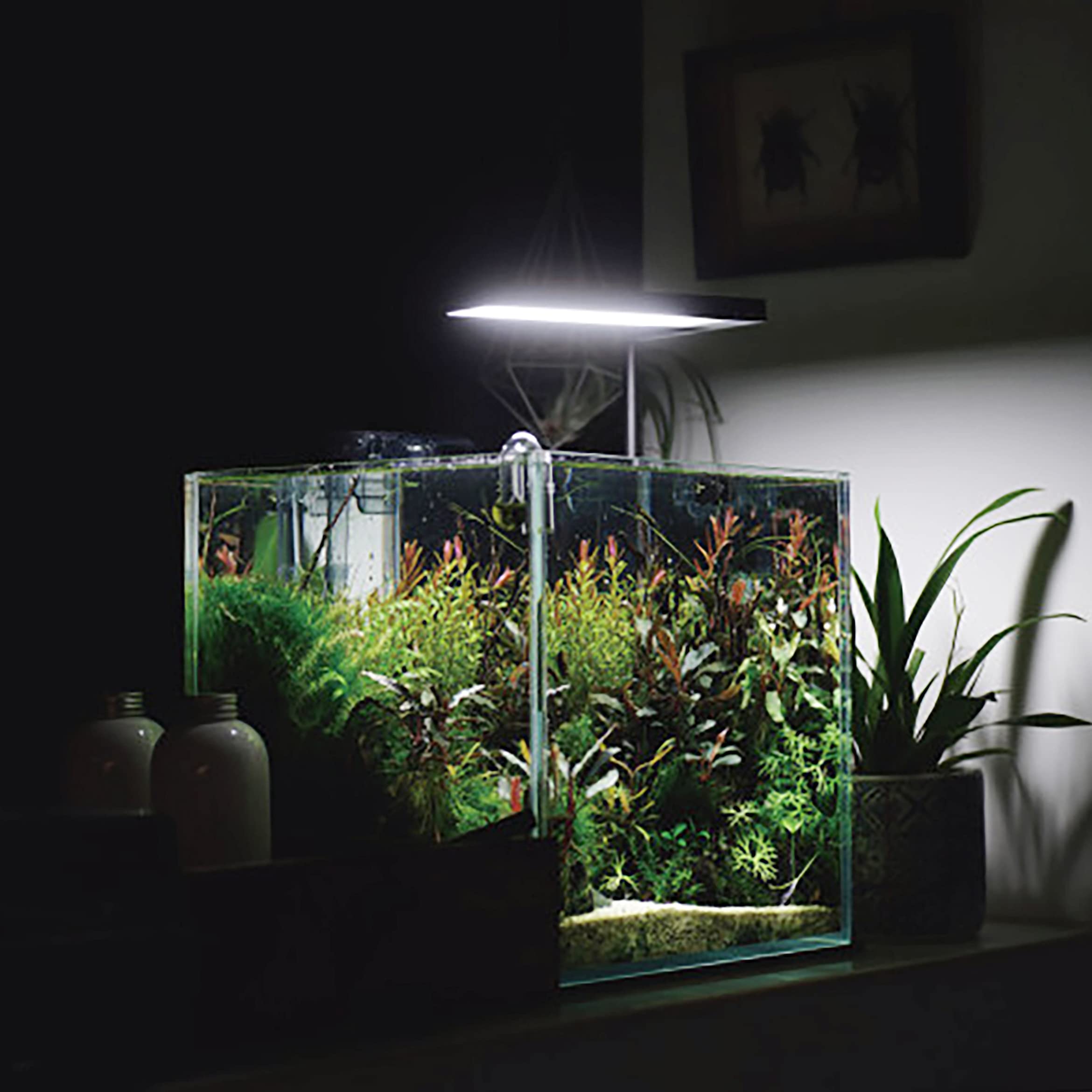 Ultra Clear Rimless Aquarium Tank 2-22 Gallons Low Iron Glass (7 Gallon with Top Glass Canopy) - Perfect for Home Office, Living Room Decor & Fish Breeding Setup