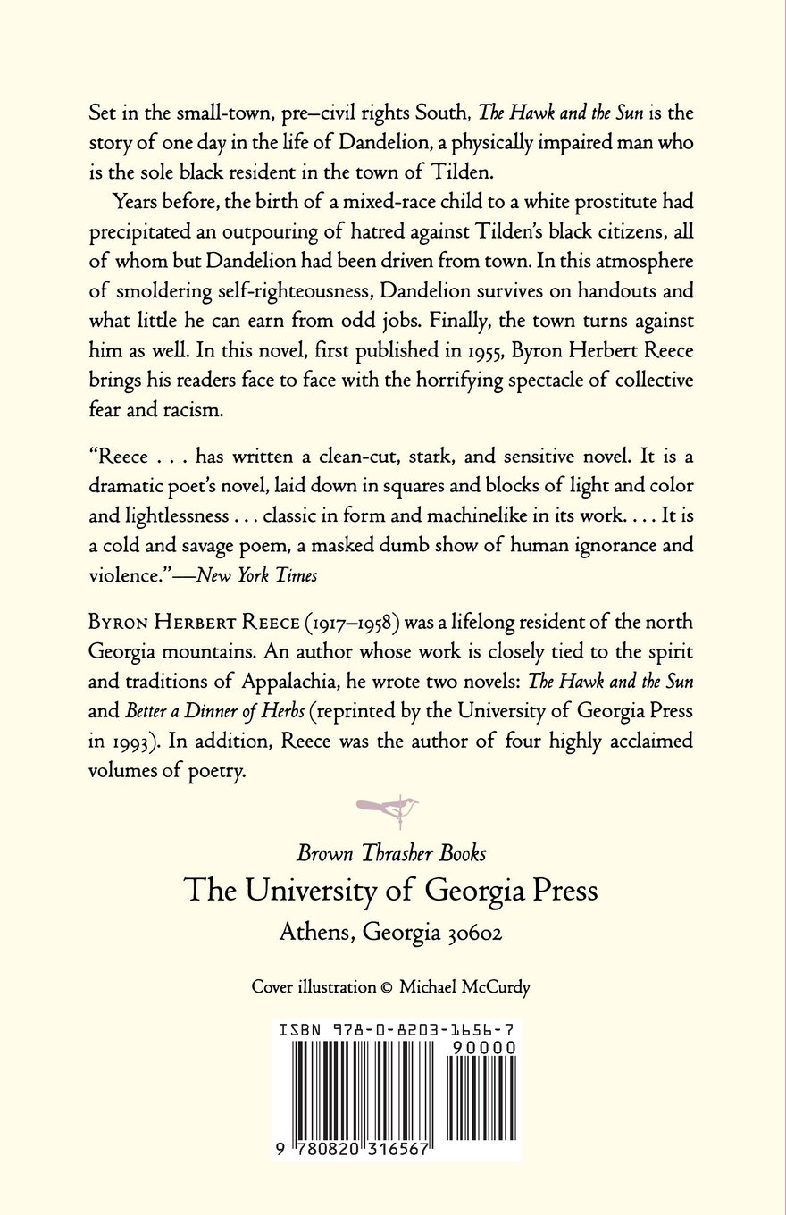 The Hawk and the Sun: A Novel by [Author Name] | Brown Thrasher Books | Literary Fiction for Book Clubs & Relaxing Reading