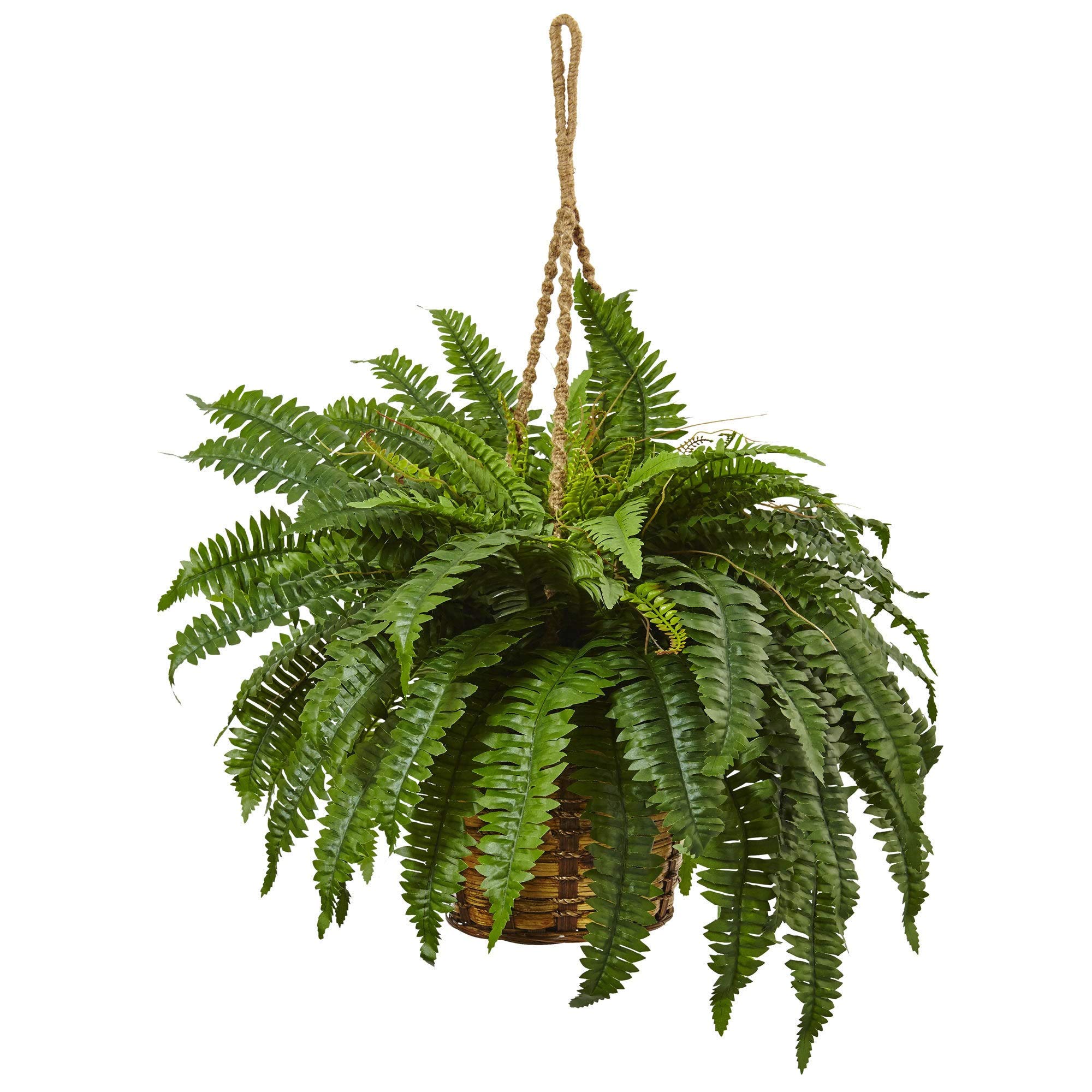 29-inch Boston Fern Hanging Basket - Perfect for Indoor & Outdoor Decor, Patio, Porch, and Garden Plant Display